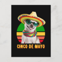 Cinco De Mayo Sombrero Chihuahua With Sunglasses