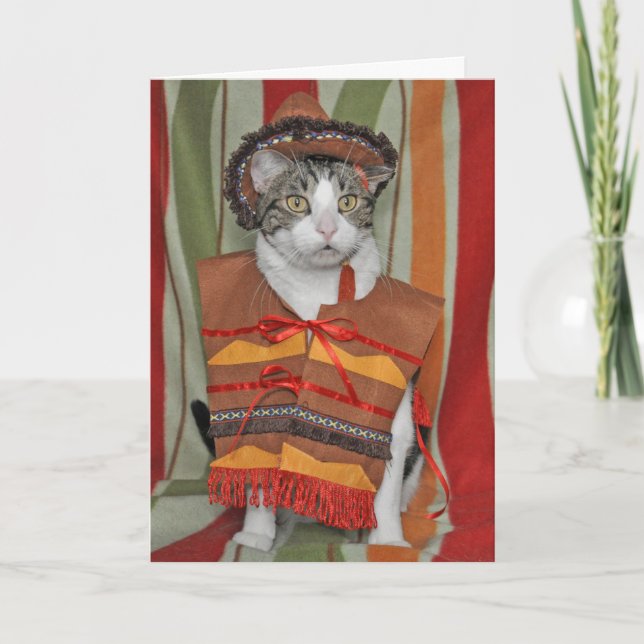 Cinco de Mayo Tabby Cat Card (Front)