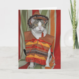 Cinco de Mayo Tabby Cat Card