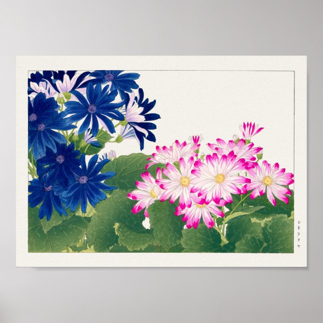 Cineraria by Tanigami Konan Poster (Front)