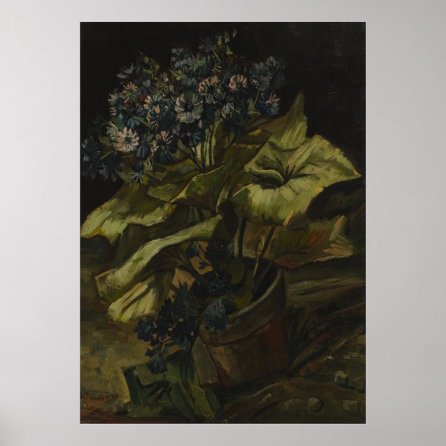 Cineraria by Vincent Van Gogh Poster (Front)