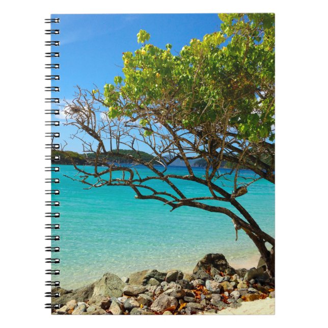 Cinnamon Bay St. John USVI Notebook (Front)