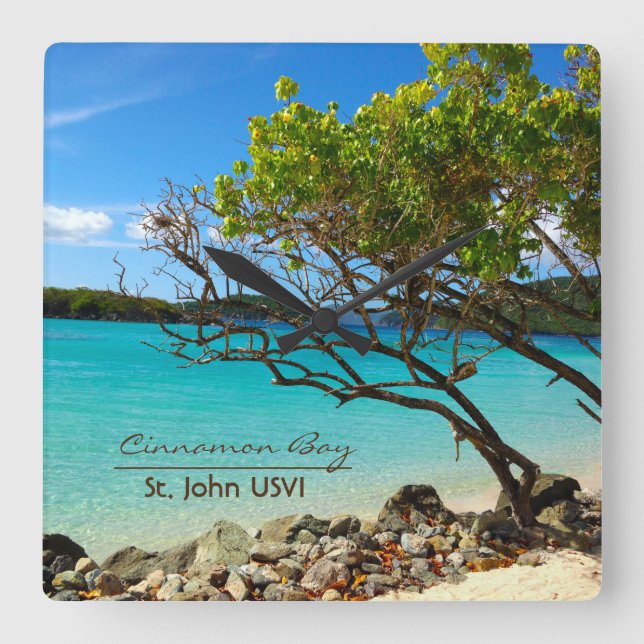 Cinnamon Bay St. John USVI Wall Clock (Front)