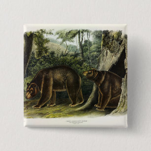 Cinnamon Bear from Audubon's Quadrupeds 15 Cm Square Badge