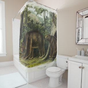 Cinnamon Bear from Audubon's Quadrupeds Shower Curtain