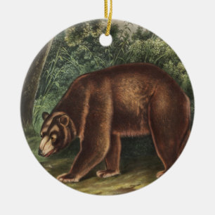 Cinnamon Bear (Ursus Americanus var. Cinnamonum) Ceramic Tree Decoration