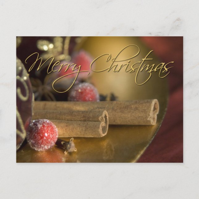 Cinnamon • Christmas Postcard (Front)