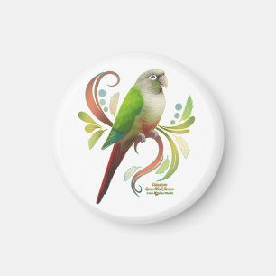 Cinnamon Green Cheek Conure Magnet