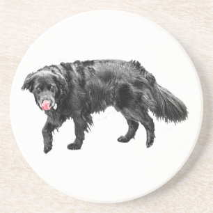 Cinnamon Steam, Scarlet Lick Coaster