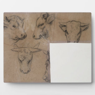 Cinq Croquis de tete de vache (pencil on paper) Plaque
