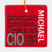 CIO Extraordinaire CUSTOM