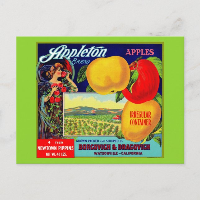 circa 1900 Appleton Apples crate label Postcard (Front)