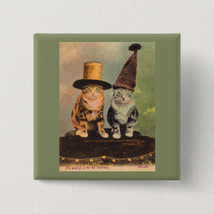circa 1900 cats in hats RPPC 15 Cm Square Badge