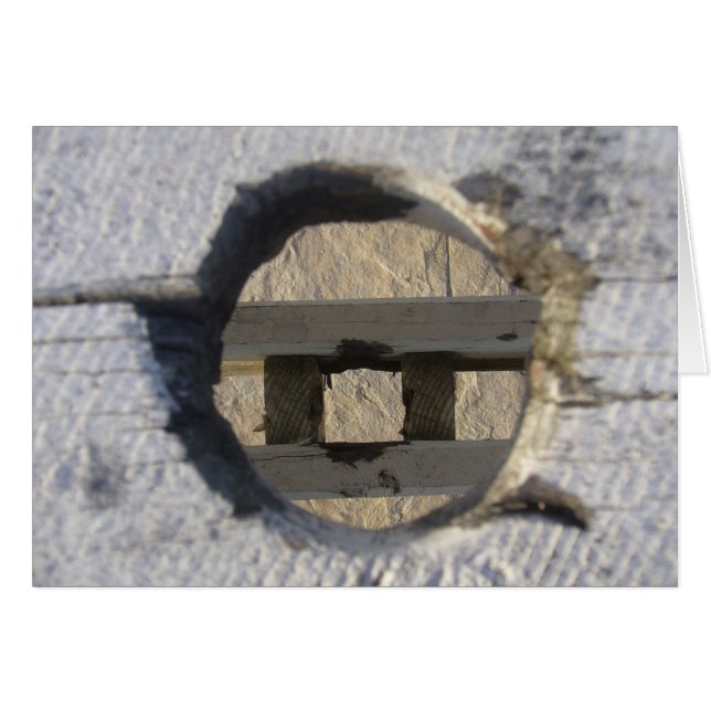 circle (Front Horizontal)