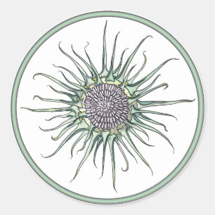 Circle and Thistle Flower Round Sticker