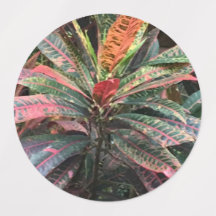 CIRCLE LABELS
