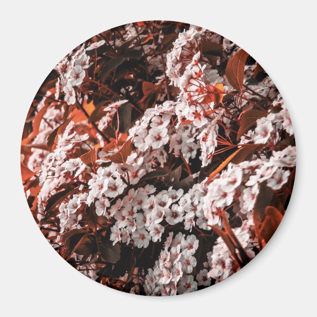 Circle magnet (Front)