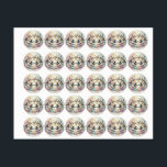 Circle of Flight and Whimsy<br><div class="desc">Wings in the Garden of Clouds</div>