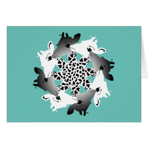 circle of giraffes