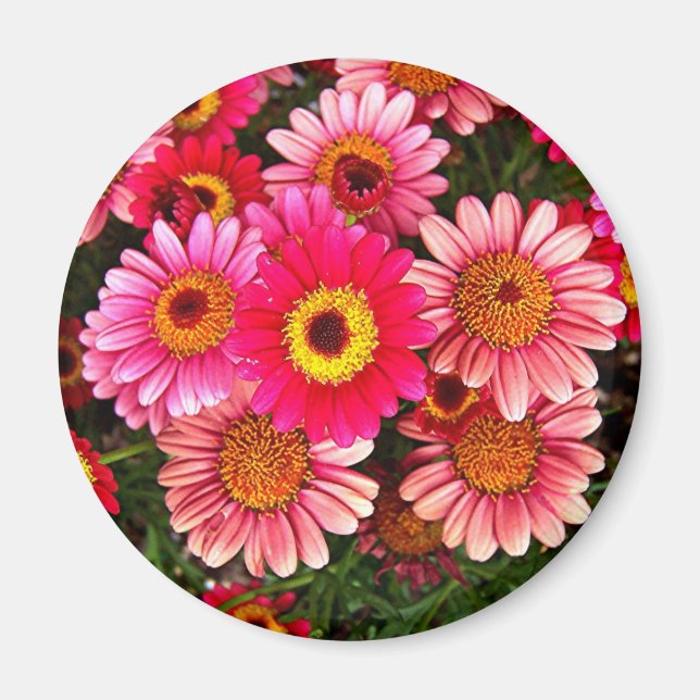 Circle of Mums Magnet (Front)
