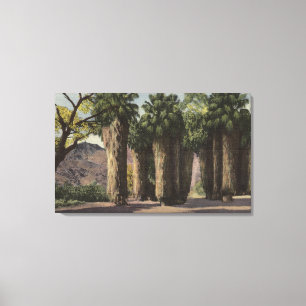 Circle of Palms, Andreas Canyon Canvas Print