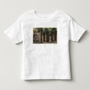 Circle of Palms, Andreas Canyon Toddler T-Shirt