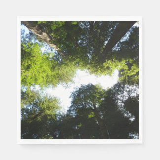 Circle of Redwood Trees at Redwood National Park Napkin
