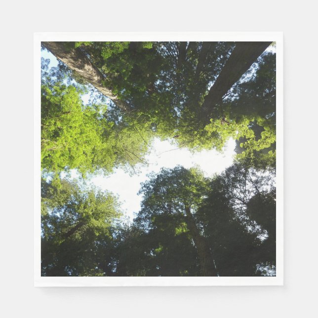 Circle of Redwood Trees at Redwood National Park Napkin (Front)