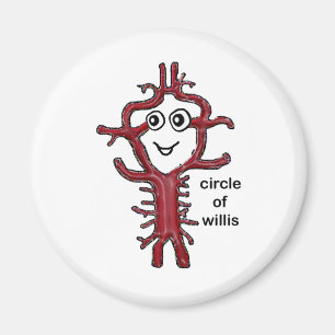 Circle of Willis Magnet