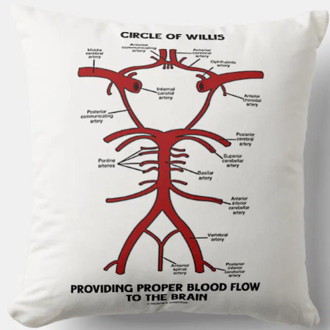 Circle Of Willis Providing Proper Blood Flow Brain Cushion (Throw pillow featuring Circle of Willis diagram, complete with labels of all key arteries)