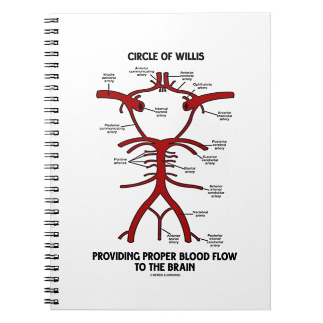 Circle Of Willis Providing Proper Blood Flow Brain Spiral Notebook (Front)