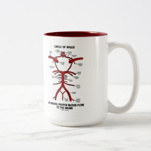 Circle Of Willis Providing Proper Blood Flow Brain Two-Tone Coffee Mug