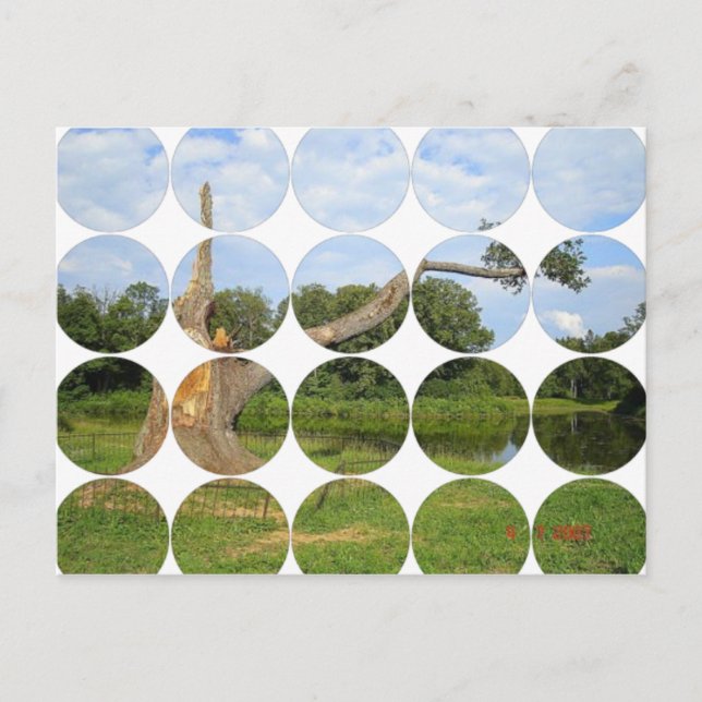 Circle Photo Postcard (Front)