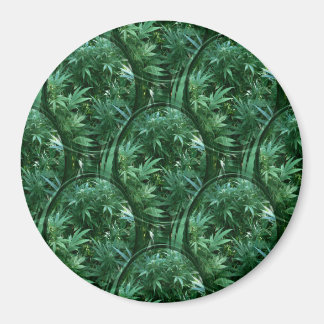 Circles of Leaves..... Magnet