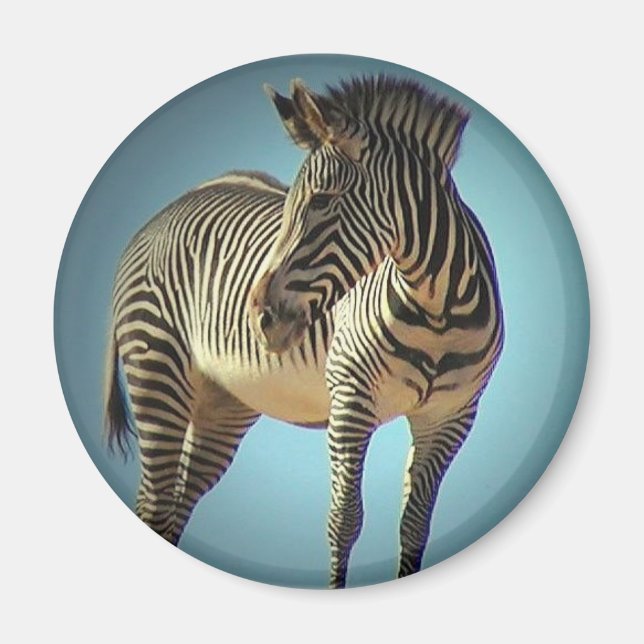 Circular Zebra Magnet (Front)