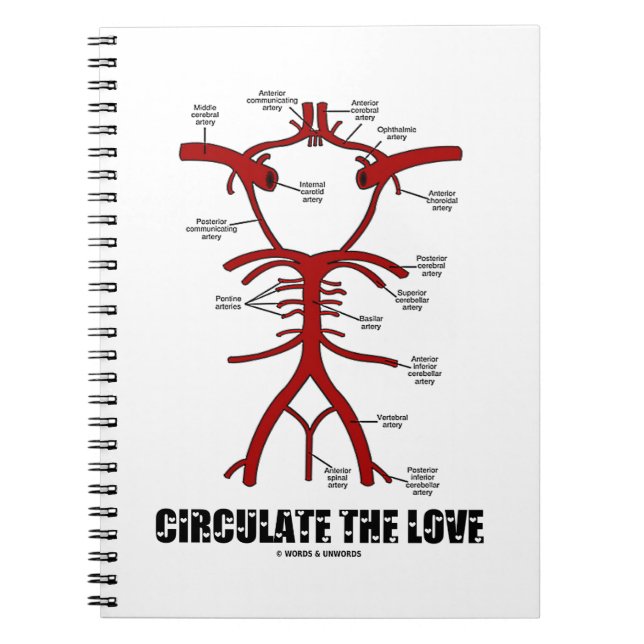 Circulate The Love (Circle Of Willis) Notebook (Front)