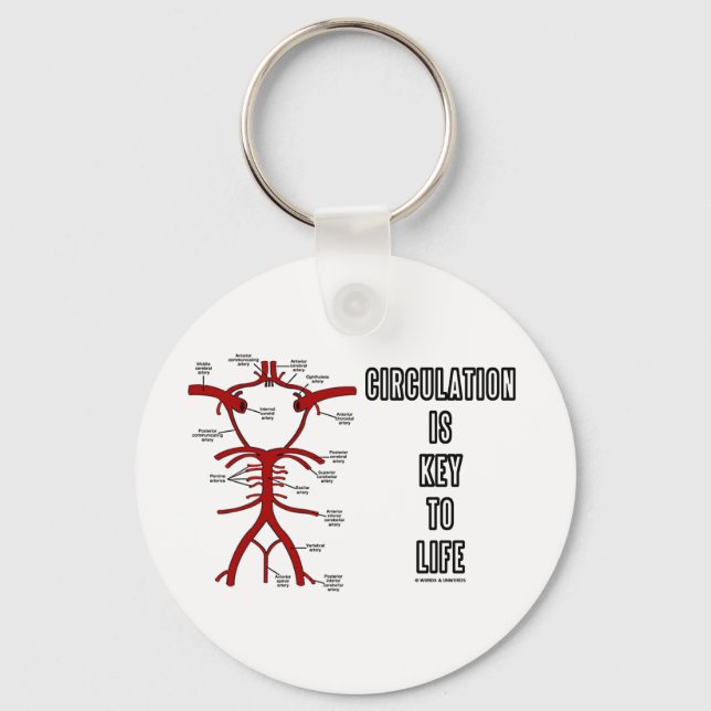Circulation Is Key To Life (Circle Of Willis) Ring (Front)
