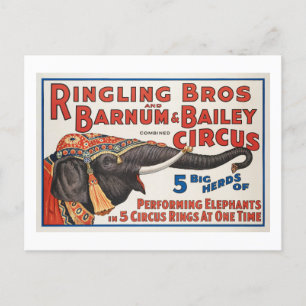 Circus 5 Big Herds of Performing Elephants Postcard