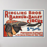 Circus  5 Big Herds of Performing Elephants