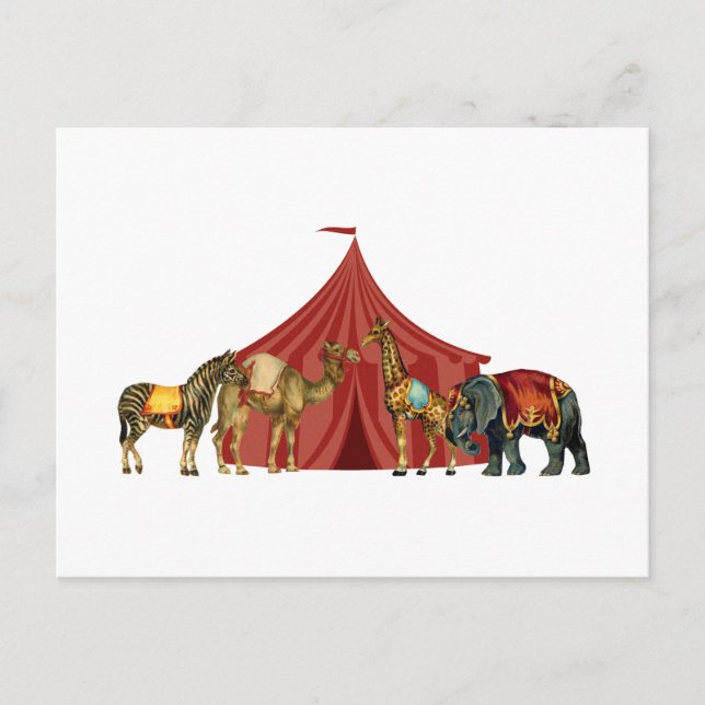 Circus Animals And Tent Postcard (Front)