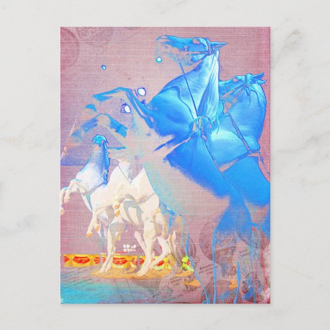 Circus Digital Art Horses Postcard (Front)