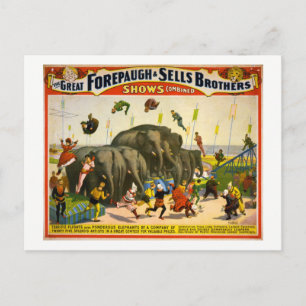 Circus Elephants, 1899 Vintage Postcard