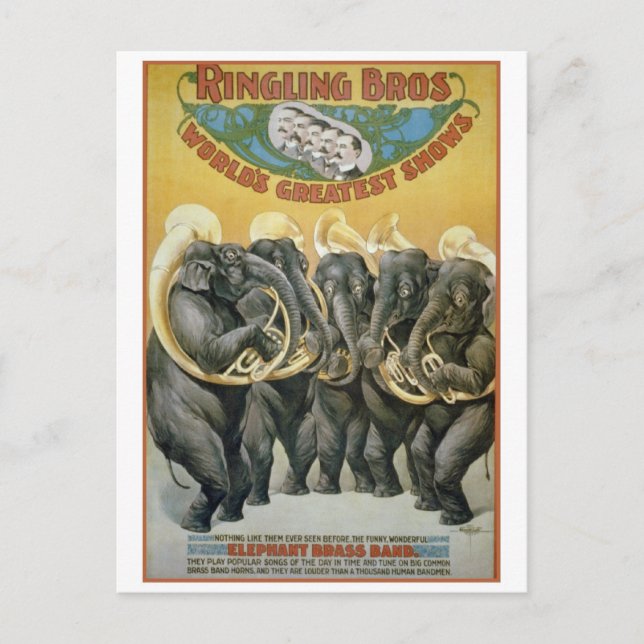 Circus Elephants Brass Band Postcard (Front)