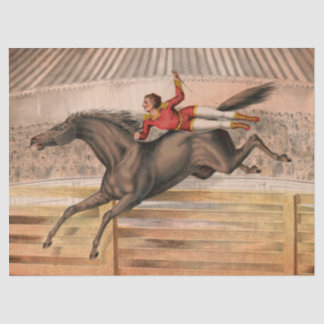 Circus horse and daredevil flying over a fence tissue paper