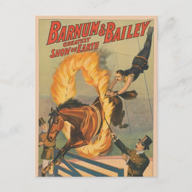 Circus Horse Leaping Through A Flaming Hoop Postcard (Front)