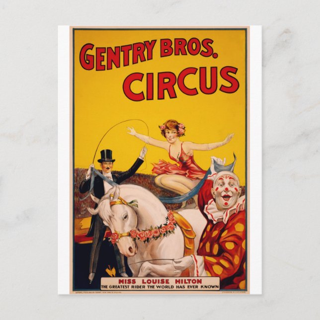 Circus Horse Postcard (Front)