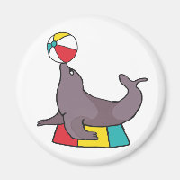 Circus Performing Seal