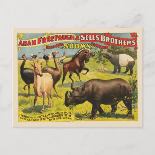 Circus Poster For Adam Forepaugh & Sells Brothers Postcard