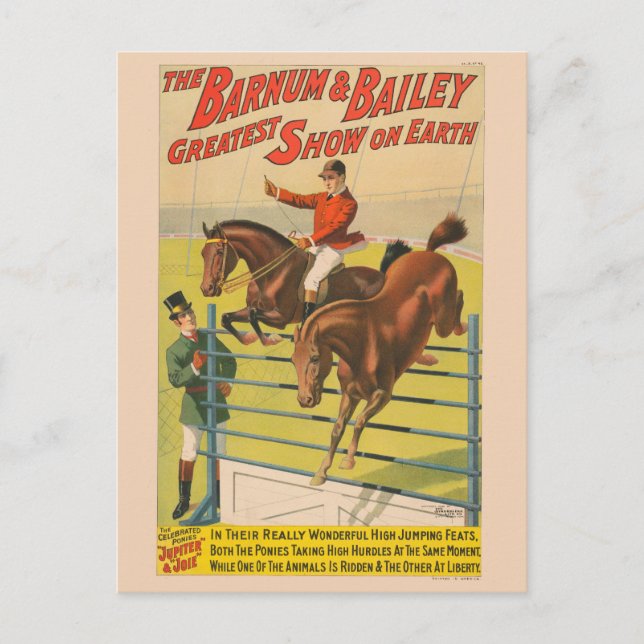Circus Poster Of 2 Ponies Jumping Over An Obstacle Postcard (Front)