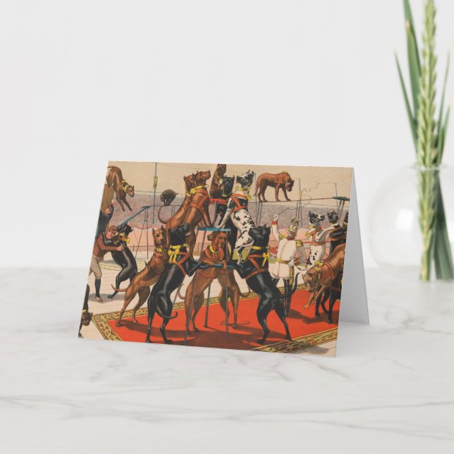 Circus Poster Of Great Danes With Trainer Card (Front)